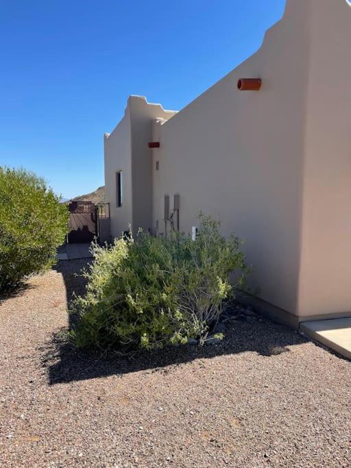Vila Tucson Mnt Foothills Saguaro Bliss Exteriér fotografie