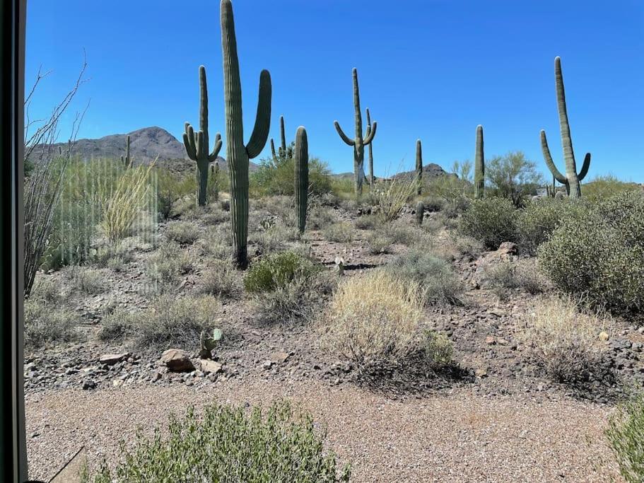 Vila Tucson Mnt Foothills Saguaro Bliss Exteriér fotografie