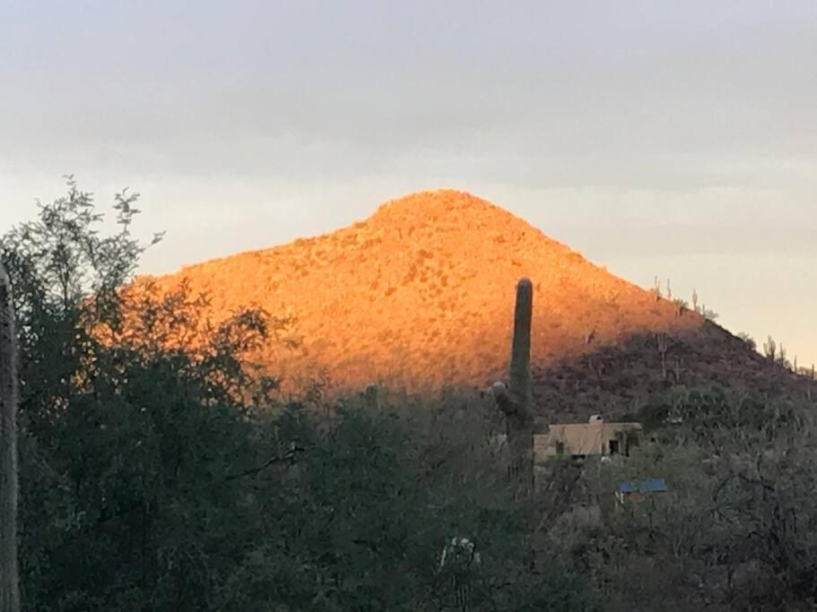 Vila Tucson Mnt Foothills Saguaro Bliss Exteriér fotografie